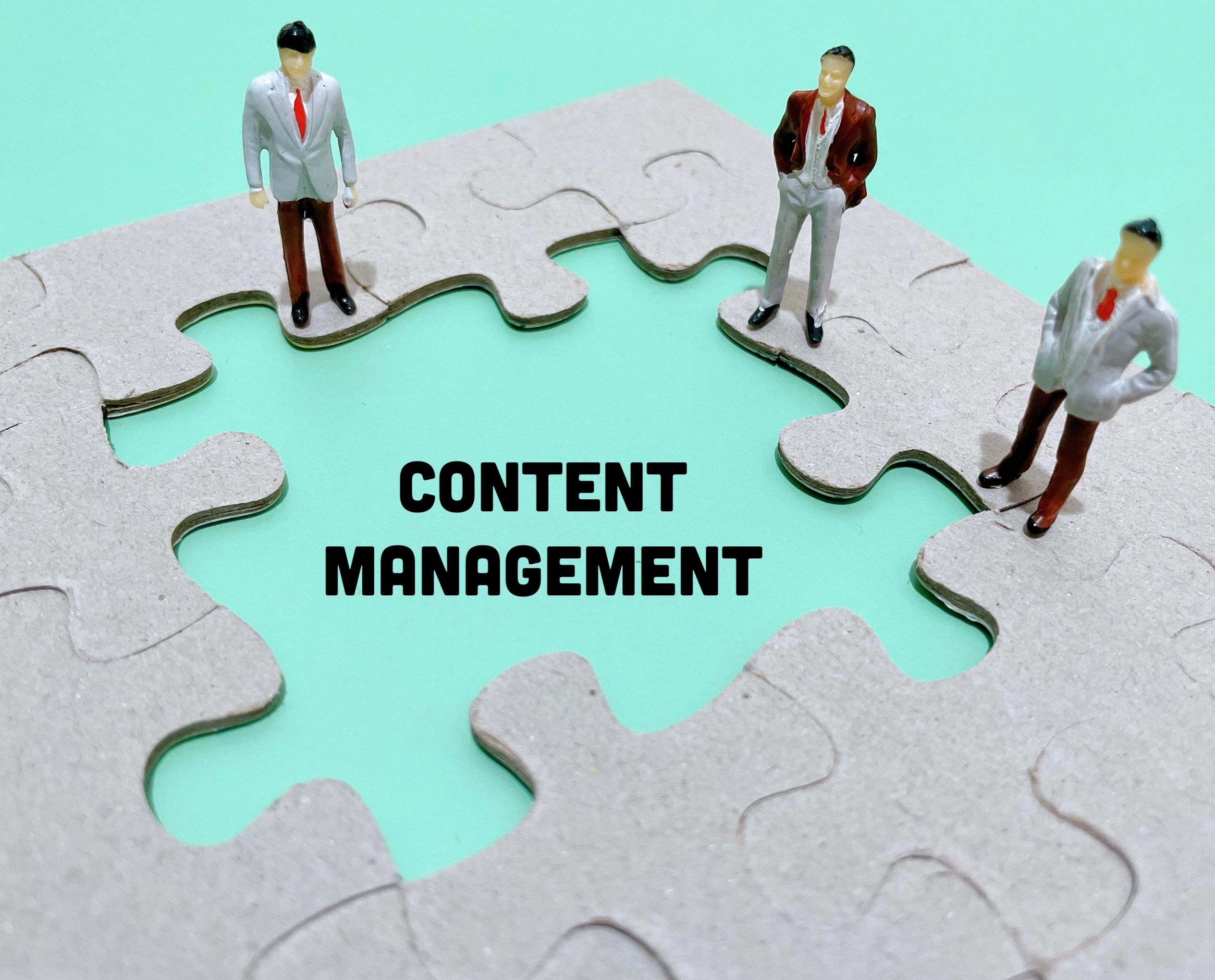 Content moderation case study